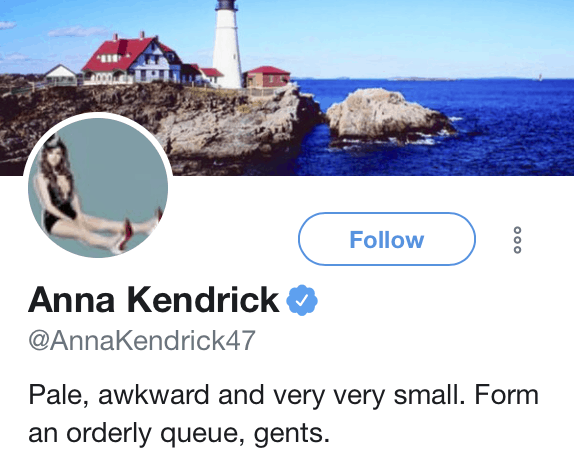 189 Funny Twitter Bios & Ideas | Anna Kendrick Twitter Bio | Appamatix.com