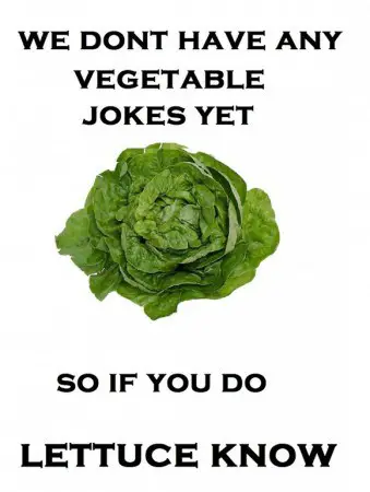 vegetable-jokes