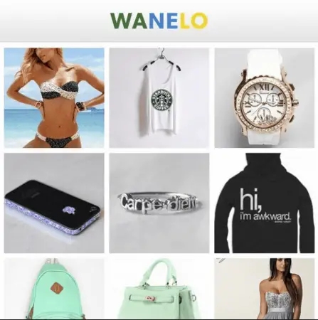 Apps Like Wish That Are Good For Shopping Online | Wanelo | Appamatix.com