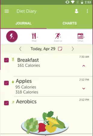 Ten Best Food Tracking Apps | My Diet Coach | Appamatix.com