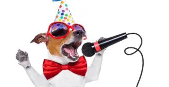 Funny Video Clips dog singing into microphone