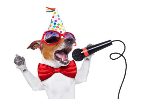 Funny Video Clips dog singing into microphone