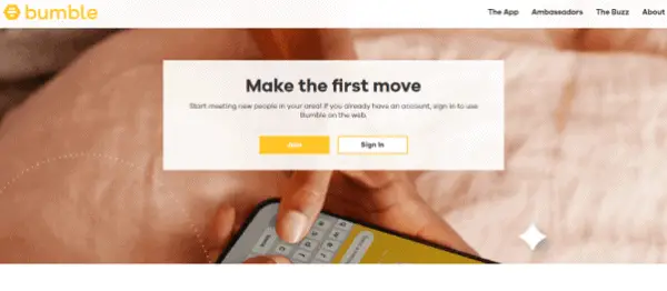 Bumble Online Dating App